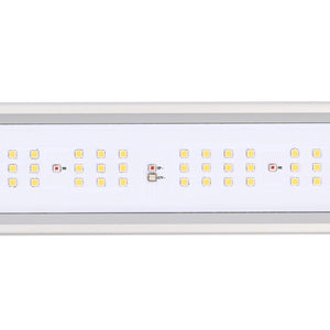 ECO Farm Z6/Z8 série 600W/800W LED élèvent les bandes lumineuses UV IR séparément contrôlent la lumière avec le pilote Inventronics