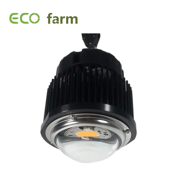 ECO Farm CXB3590 50W COB CREE Chips LED élèvent la lumière