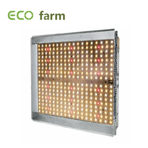 ECO Farm 150W / 300W / 450W Full Spectrum LED Carte Quantique Grow Light pour plante d'intérieur