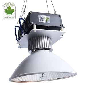 Eco Farm Outillage de Lampe de Culture CMH 150W pour Plantes d'Intérieures