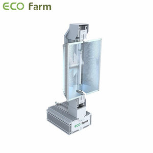 ECO Farm HPS / MH 1000W Kit de culture hydroponique de culture à double extrémité