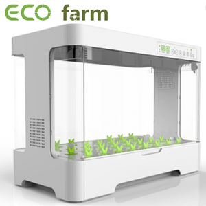 ECO Farm Systèmes De Culture Hydroponique D'intérieur Pour Plante