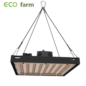 ECO Farm 150W Les LED élèvent la Lumière LED IP65 à Spectre Complet de Puces LED à Intensité Variable élèvent la Lumière