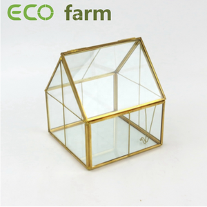 ECO Farm Conteneur en Verre Teinté Géométrique Multicolore Pour Plante