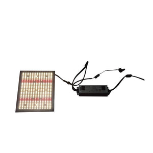 ECO Farm Lampe de Culture LED Carte Quantique 120W/240W/480W Avec Samsung LM561C/301B/301H Chips Red (660nm)+ UV +IR