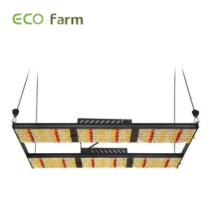 ECO Farm Lampe de Culture LED Plaque Quantique Spectre Complet 480W/640W avec puces de Samsung LM301B/LM301H