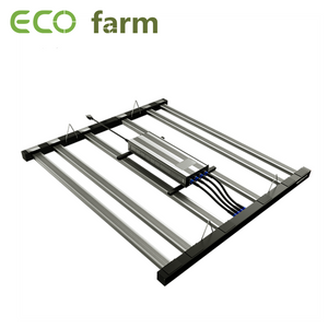 ECO Farm 630W bandes lumineuses LED à haut rendement avec puces Samsung 301H + spectre complet UV + IR élèvent la lumière vente rapide