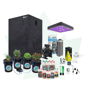 Kits de culture complets pour LED Star Starter pour 4 plantes