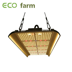 ECO Farm 100W / 240W / 320W Lampe de Croissance Plaque quantique avec UV + IR Full Spectrum Dimmable LED vente rapide