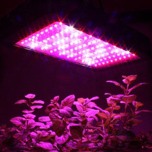 Apollo Horticulture 180/240/600/700W LED Lampe de Culture