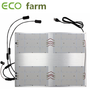ECO Farm Lampe de Plante LED/Plaque quantique 120W / 240W / 320W / 480W / 600W Dimmable avec Samsung LM301H + CREE 660NM + LG 395NM + CREE 730NM puces