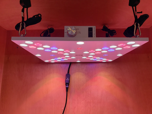 Optic LED Bloom Enhancer Array 120W Dimmable LED élèvent la lumière + UV + IR grande remise