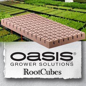 Oasis Horticube et Cubes de Racines 1.25 "en Cubes Moyens