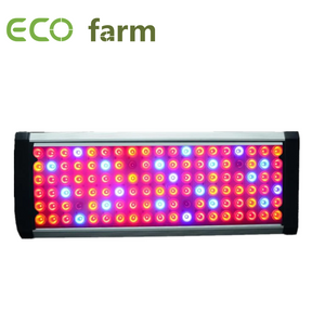 ECO Farm 210W / 300W / 452W / 600W LED élèvent la lumière