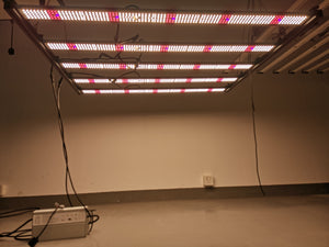 ECO Farm Bandes lumineuses 600W LED avec puces Samsung + lumière UV IR à haut rendement avec pilote Inventronics