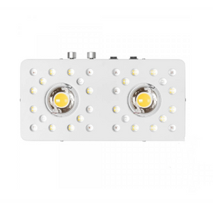 OPTIC 2 Gen4 Series 200W Dimmable COB LED élèvent la lumière