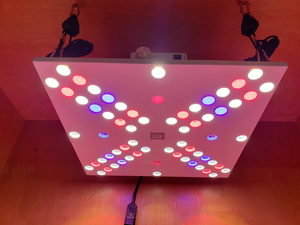 Optic LED Bloom Enhancer Array 120W Dimmable LED élèvent la lumière + UV + IR grande remise
