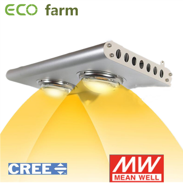 ECO Farm 240W CREE Chips COB LED élèvent la vente de lumière rapide