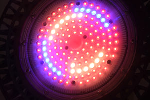 ECO Farm Lampe de Culture à LED UFO 100W/150W/200W Spectre Complet Haute Puissance