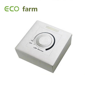 ECO Farm Commutateur de Gradation de Sortie 0V -10V de LED DC Gradateur PWM à LED
