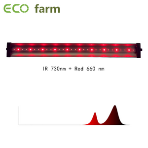 ECO Farm 30W IR 730NM + Rouge 660NM Barre lumineuse simple supplémentaire