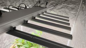 ECO Farm LUX 600W/720W Lampe de plantes à LED à spectre complet mobile avec puce Bridgelux / Samsung 301B