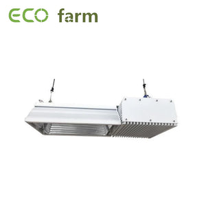 Eco Farm Lampe de Culture 2 Broches HPS 750W Plus-X B281 pour Culture Hydroponique