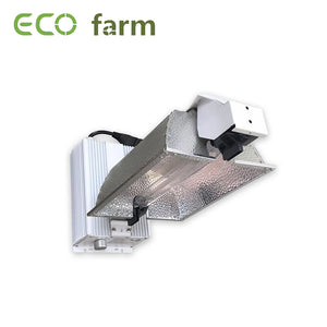 ECO Farm G-Star Outillage de Base de Lampe de Croissance à Double Extrémité HPS 1000W pour Culture Hydroponique