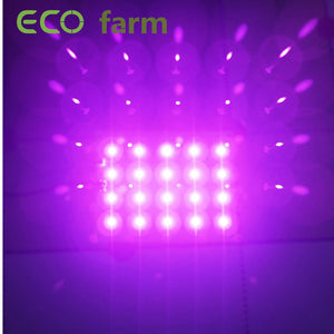 ECO Farm Panneau Carte Quantique d'Eclairage Supplémentaire 30W LG UV 395nm