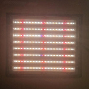 ECO Farm 150W Les LED élèvent la Lumière LED IP65 à Spectre Complet de Puces LED à Intensité Variable élèvent la Lumière