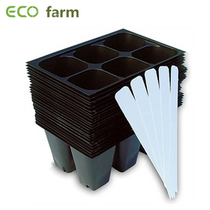 ECO Farm 144 cellules semis de démarrage plateaux 24 plateaux 6 cellules par plateau plus avec 5 étiquettes de plantes