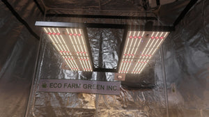 ECO Farm 240W / 480W V3 Samsung 301H Lampe de plantes mobile de conducteur de MeanWell