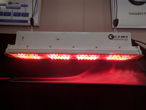 CGE Max300 SP2 LED Lampe de Culture pour les plantes d'intérieur en croissance à vendre