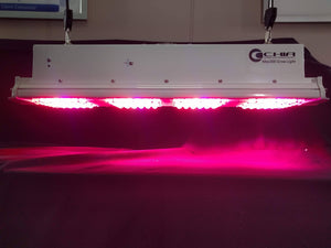 CGE Max300 SP3 LED Lampe de Culture des lumières pour les plantes d'intérieur en croissance à vendre
