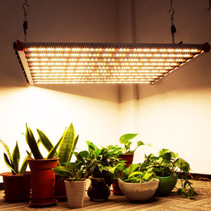 ECO Farm 650W LED élèvent des Bandes Lumineuses avec une Lumière à Spectre Complet de puce Epistar