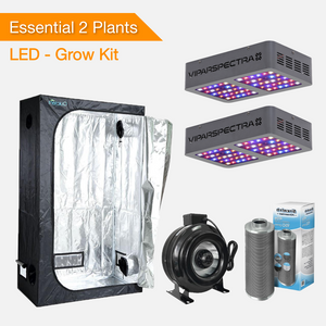 Kit de Culture Essential 2 plantes - lampes de culture à LED