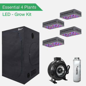 Kit de Culture Essential 4 Plants - LED