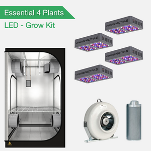 Kit de Culture Essential 4 Plants - LED