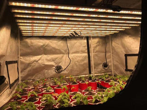 ECO Farm 720W LED élèvent des bandes lumineuses avec des puces Osram