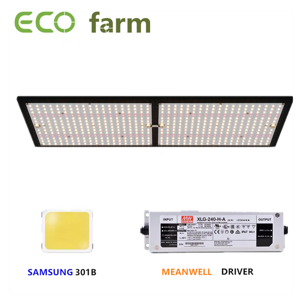 ECO Farm Plaque Quantique Lampe de Croissance avec Samsung 301B/301H Chips Dimmable 120W/240W/480W/720W
