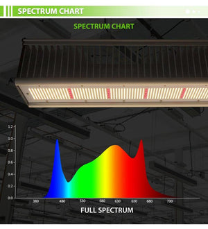 ECO Farm TOP Series 650W/800W LED élèvent la Lumière avec la Barre Lumineuse à Spectre Complet de Puces Samsung